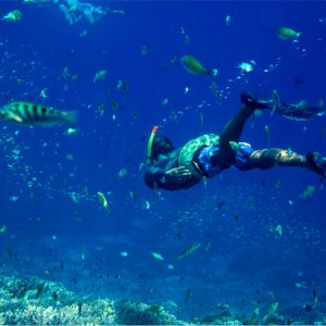Snorkelling