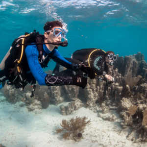12 Dive Pack 3 Islands