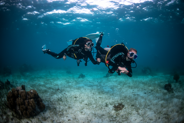 12 Dive Pack 3 Islands - 4 days