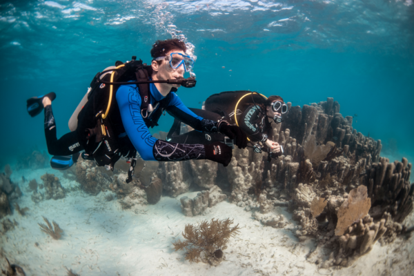 12 Dive Pack 3 Islands