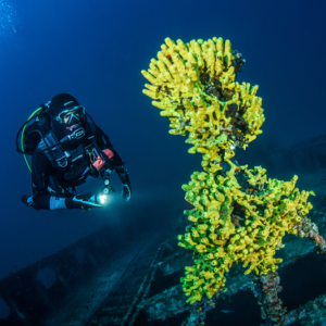 SSI Deep Diving