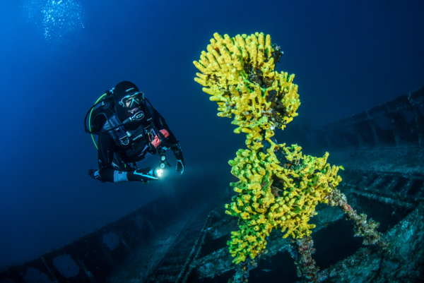 SSI Deep Diving