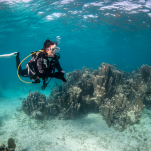 Basic Diver