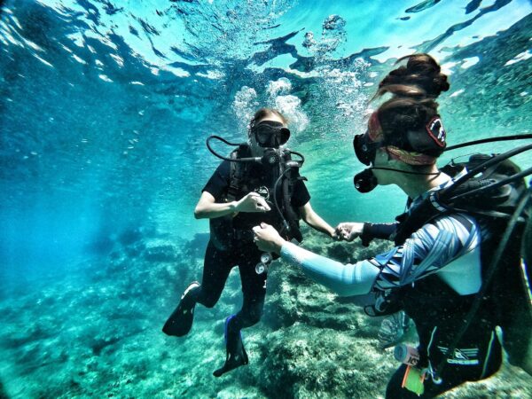 Ultimate Basic Diver