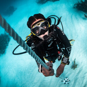 6 Dive Pack - 2 Days