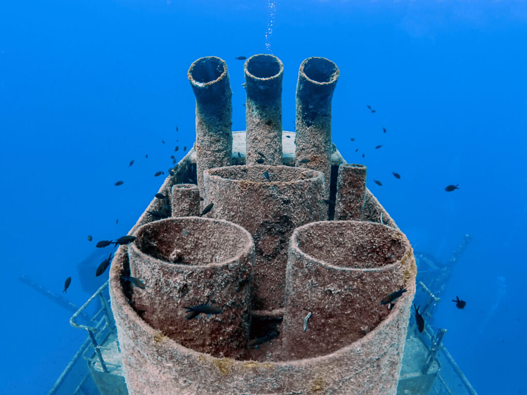 The brilliant wreck of the Um El Faroud off the coast of Malta