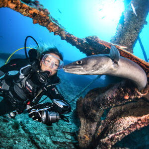 Triple Dive Wreck Treat - 1 Day