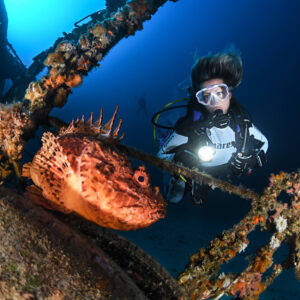 learn to scuba dive in aquatica diving centre in malta with our course ssi basic wreck